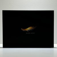 Alisha Lashes Lash Extensions Pretty Please - Faux Mink